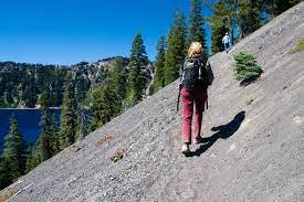 walking reduce fat