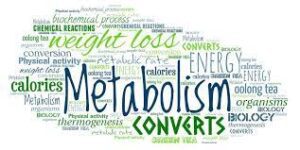 The role of the metabolism in weight loss