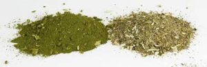 Yerba Mate and Zotrim