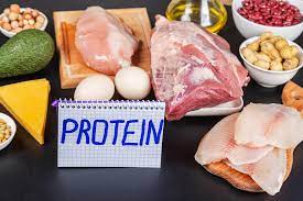 pros and cons of a high protein diet